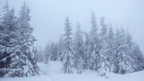 На Владимирскую область 3 декабря обрушится непогода