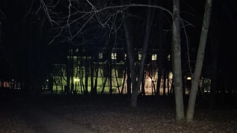 Житель Гусь-Хрустального получил 8,5 лет колонии за изнасилование женщины