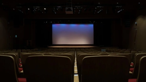 Во Владимире начнут показывать пиратский «Аватар 2»