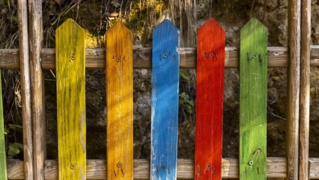 Во Владимирской области нашли заброшенный детский лагерь