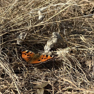 Прогноз погоды во Владимирской области на 21 марта 2026 года