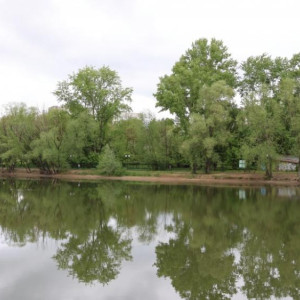 Во Владимире проект благоустройства Соловьиного пруда разработает ООО ««ПБ «СпецПРО»