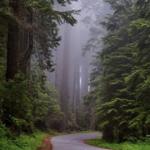 Во Владимире пропавшую 74-летнюю бабушку в разноцветном платке нашли живой