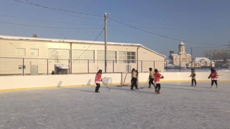 В Гусь-Хрустальном провели турнир по хоккею в валенках