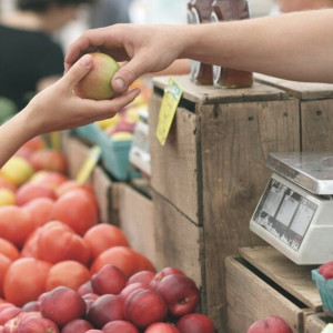 Продолжится ли рост цен на продукты во Владимирской области?