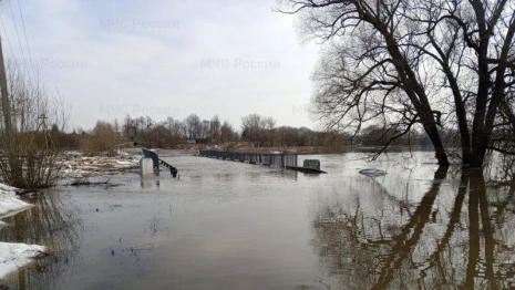 Во Владимирской области прогнозируют подтопление 46 дворов