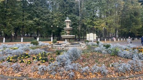 Появилась программа Дня молодежи-2025 во Владимире