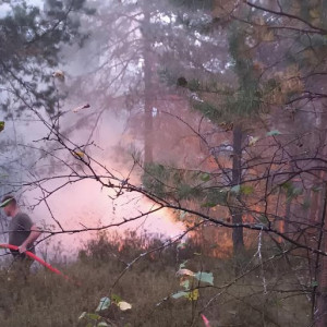 Лесной пожар в Камешковском районе разгорелся с новой силой