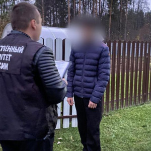 Силовики задержали подозреваемого в двойном убийстве в Юрьев-Польском районе