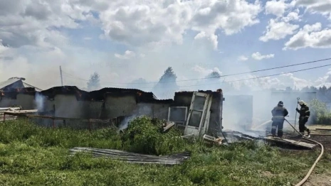 Пожар на ферме в Муроме забрал жизни кроликов и нутрий