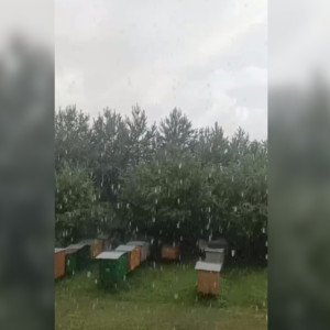 В поселке под Владимиром прошел ливень с грозой