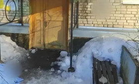 Бастрыкин взял на контроль историю с гибелью женщины из-за падения снега в Собинском районе