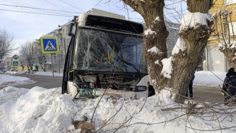 В Муроме автобус влетел в дерево: пострадали 7 человек