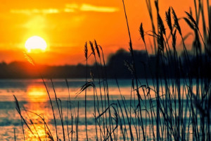 Во Владимирской области осудили устроившего резню на озере камешковца