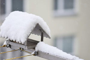 Владимирец отсудил 110 тыс. рублей за сход снега с крыши на машину