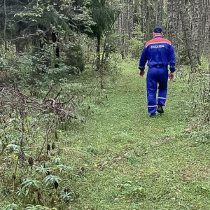 В лесу Камешковского района заблудились мужчина и женщина