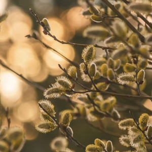 Прогноз погоды во Владимирской области на 24 марта