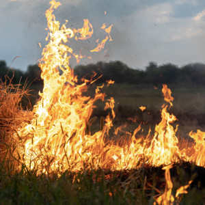 Владимирцев предупредили о 4 классе пожарной опасности
