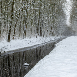 Прогноз погоды во Владимире и области на 25 января