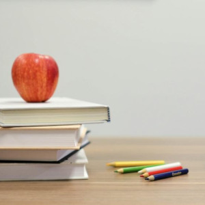 Владимирская область вошла в топ регионов с наибольшим дефицитом учителей