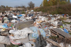 Жители Владимирской области жили рядом со стихийной свалкой в 500 кв. метров