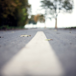 Жители пригорода испугались оказаться отрезанными от Владимира из-за стройки трассы