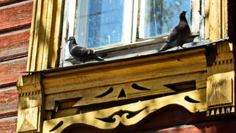 Во Владимирской области 79 деревень будут бороться за звание самой красивой