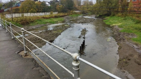 Жители Карабаново пожаловались на обмеление реки в районе ОЭЗ