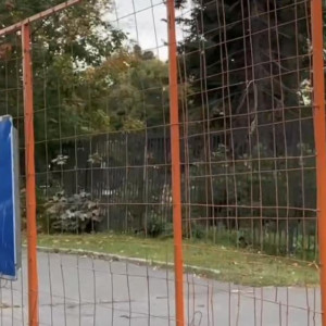 Во Владимире стартовало обустройство парковки у «Красного креста»