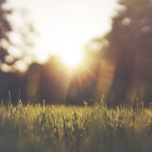 День Еремея Распрягальника: что можно и чего нельзя делать 13 июня