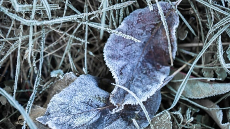 Во Владимирскую область вернется похолодание до -1