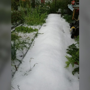 Катастрофические последствия града во Владимирской области показали на фото и видео