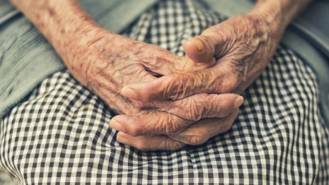 Житель Александрова ограбил бабушку жены ради ставок на спорт