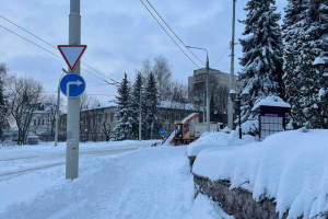 Вспомнили Орлову и безногих инвалидов. Как известные владимирцы оценили уборку снега