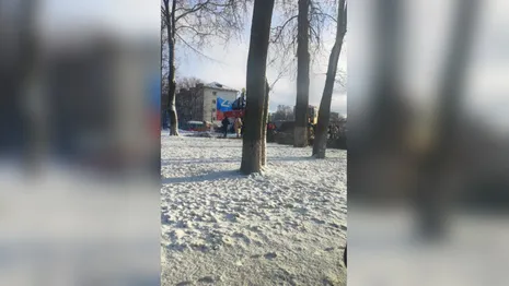 Вырубку хвойной аллеи на площади Победы во Владимире показали на фото