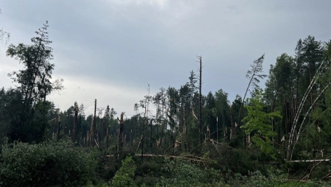 В Ковровском районе из-за урагана повредилась высоковольтная ЛЭП