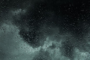 Автомобилистов предупредили о ночном дожде на платнике М-12 во Владимирской области