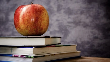 Во Владимирской области заговорили об отмене второй смены для школьников