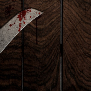 Житель Карабаново зарезал приятеля и пытался скрыть убийство