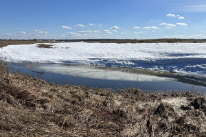 Прогноз погоды во Владимирской области на 21 марта 2025 года