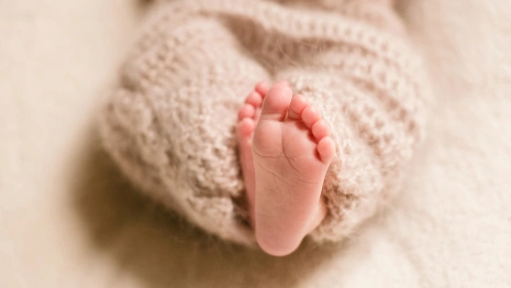 В июле во Владимире родились 288 малышей