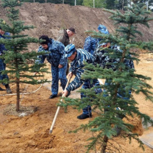 Во Владимирской области заложили Аллею Памяти в честь защитников Родины