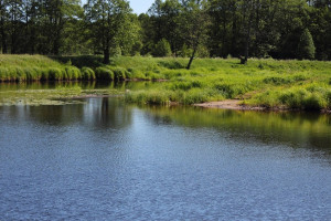 Во Владимирской области на расчистку реки Гусь потратят 174 млн рублей