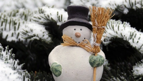 Во Владимире пройдет «Битва снеговиков»