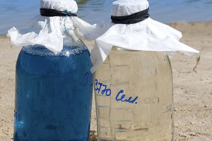 Роспотребнадзор запретил купаться в озерах Семязино и Глубокое во Владимире