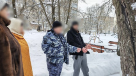 Во Владимирской области шестеро мигрантов украли медный кабель на 3,5 млн рублей