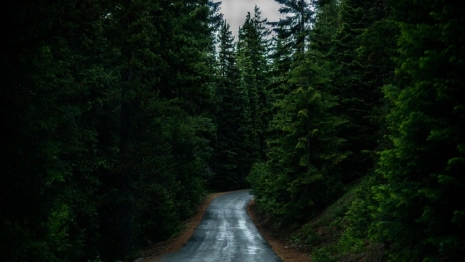 Владимирцев позвали на срочные поиски заблудившегося в лесу 81-летнего пенсионера 