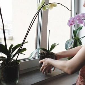 Жителя Владимира будут судить за ограбление цветочного магазина