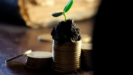 В России решили увеличить МРОТ на 18,5%