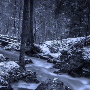 У найденного мертвым в Калининграде гусевчанина остались двое детей 